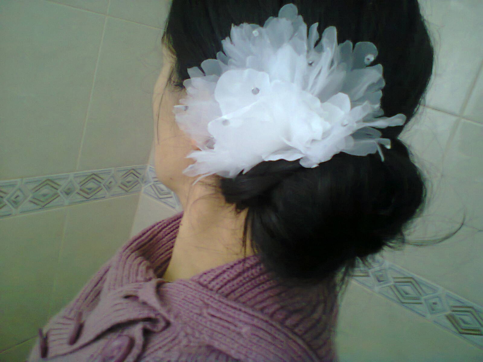 pic1.jpeg